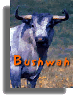 bushwah.com